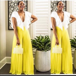 NWT ! Zara Pleated Wide Leg Pants